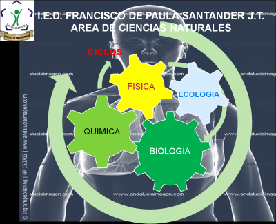 AREA DE CIENCIAS IED FRANCISCO DE PAULA SANTANDER